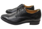 Roger Mens Comfortable Leather Dress Shoes Made In Brazil
