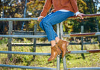 Carter Womens Wide Fit Comfortable Leather Ankle Boots